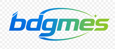 bdgmes logo